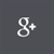 googleIcon