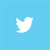 twitterIcon